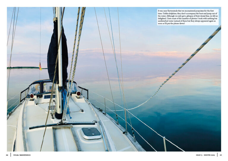 issue333